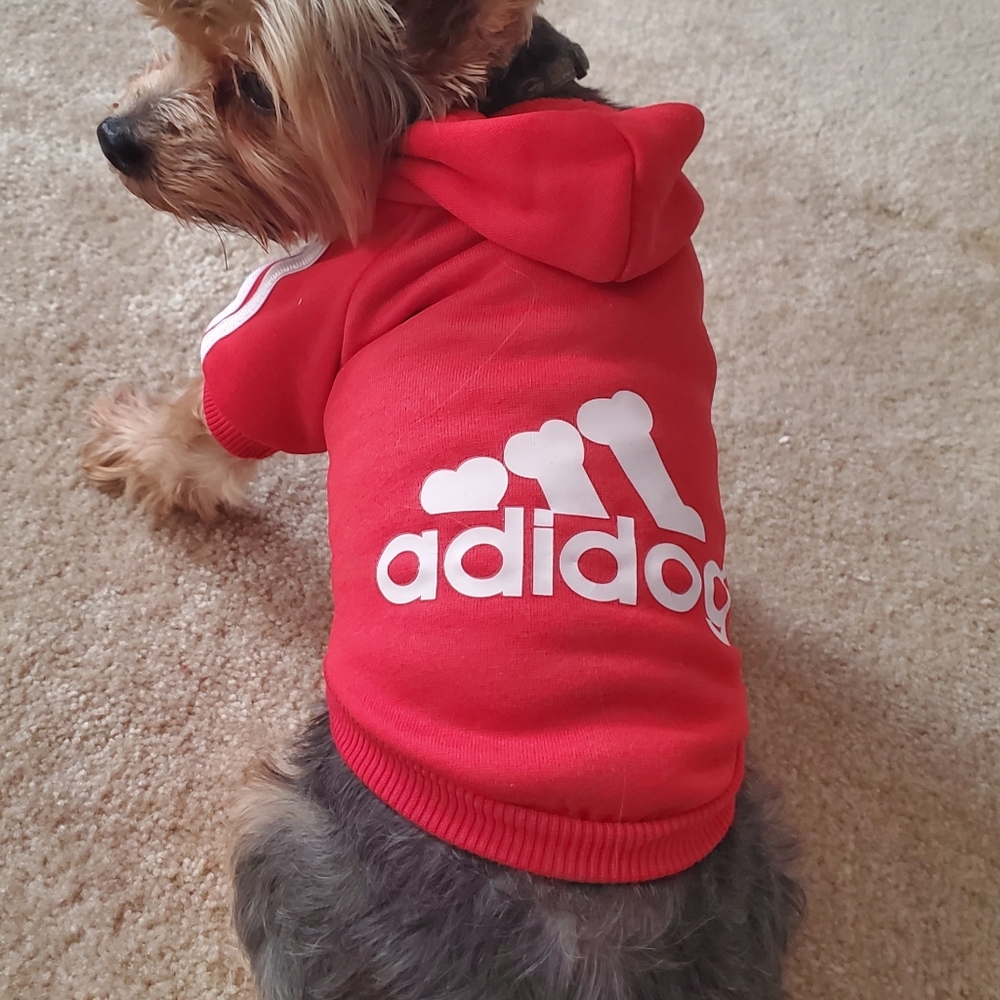 β οΈ Doggie adidog sweatshirts - Picture 6 of 8